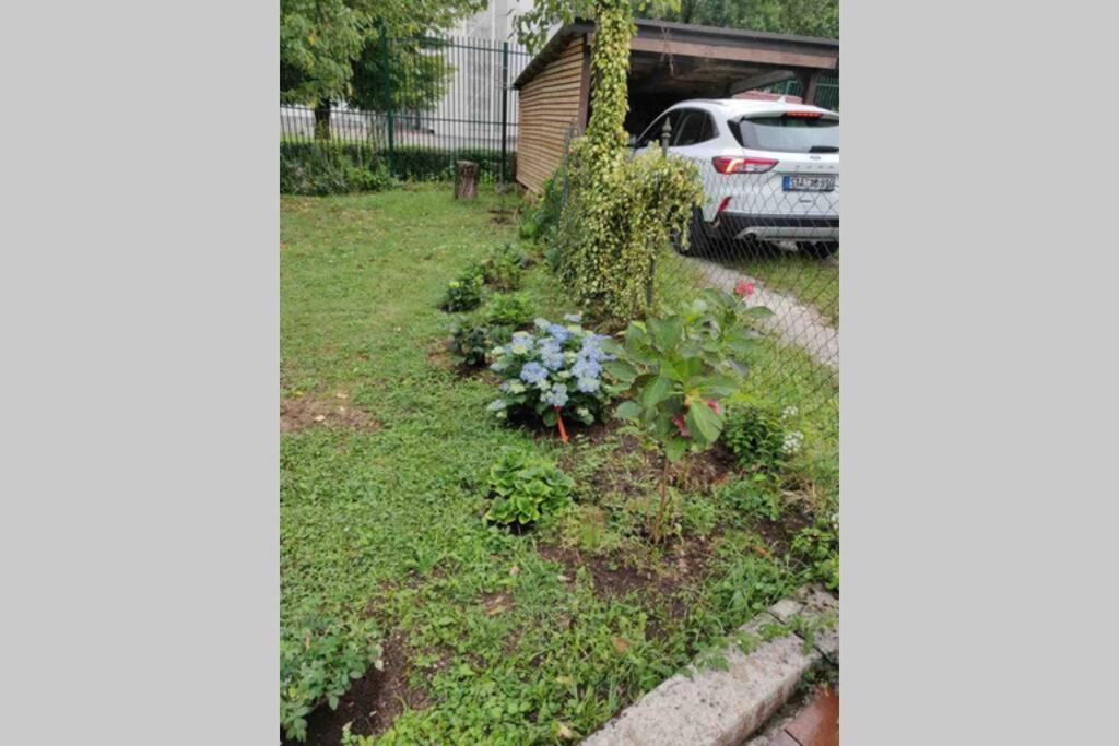 Villa Hortensia Ljubljana Bagian luar foto
